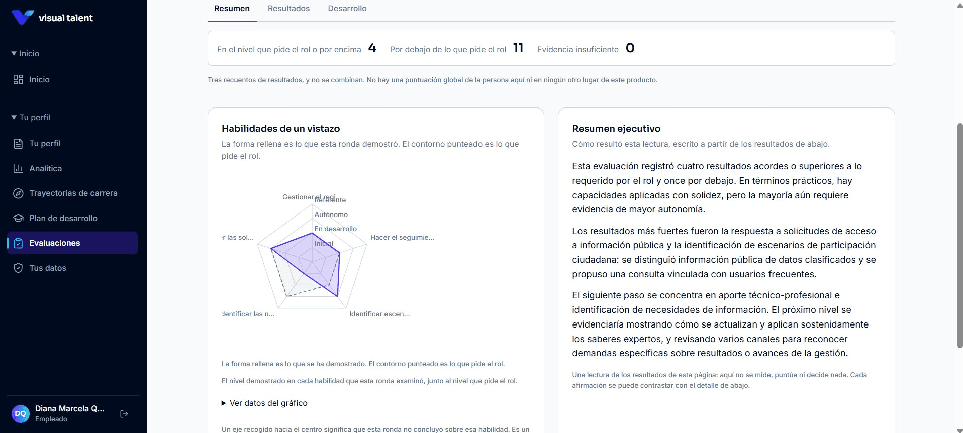 VisualTalent evaluation result: skills at a glance and executive summary